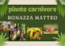 presentazioni aziendali e scolastiche